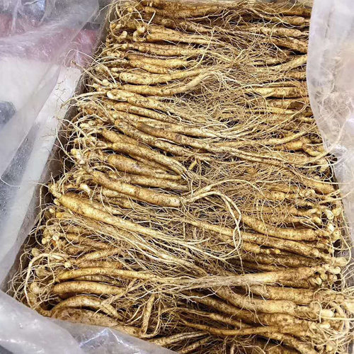 草参吉林人参鲜小鲜参园参东北长白山土煲汤泡酒参新鲜参仔