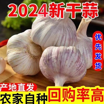 【1个小蒜头，测试专用，无售后】新干蒜干大蒜籽批发农家自种
