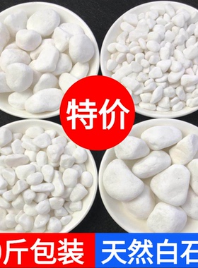 50斤装白色石子石头大鹅卵石庭院铺路铺地小白石头造景景观白石子