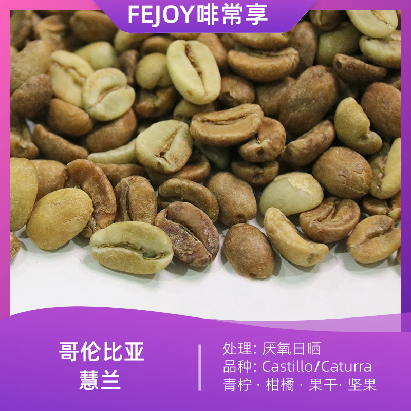 哥伦比亚慧兰-厌氧日晒咖啡生豆