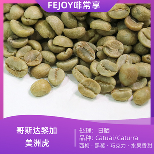 5kg23季哥斯达黎加塔拉珠美洲虎SHB日晒咖啡生豆西梅黑莓可可果甜