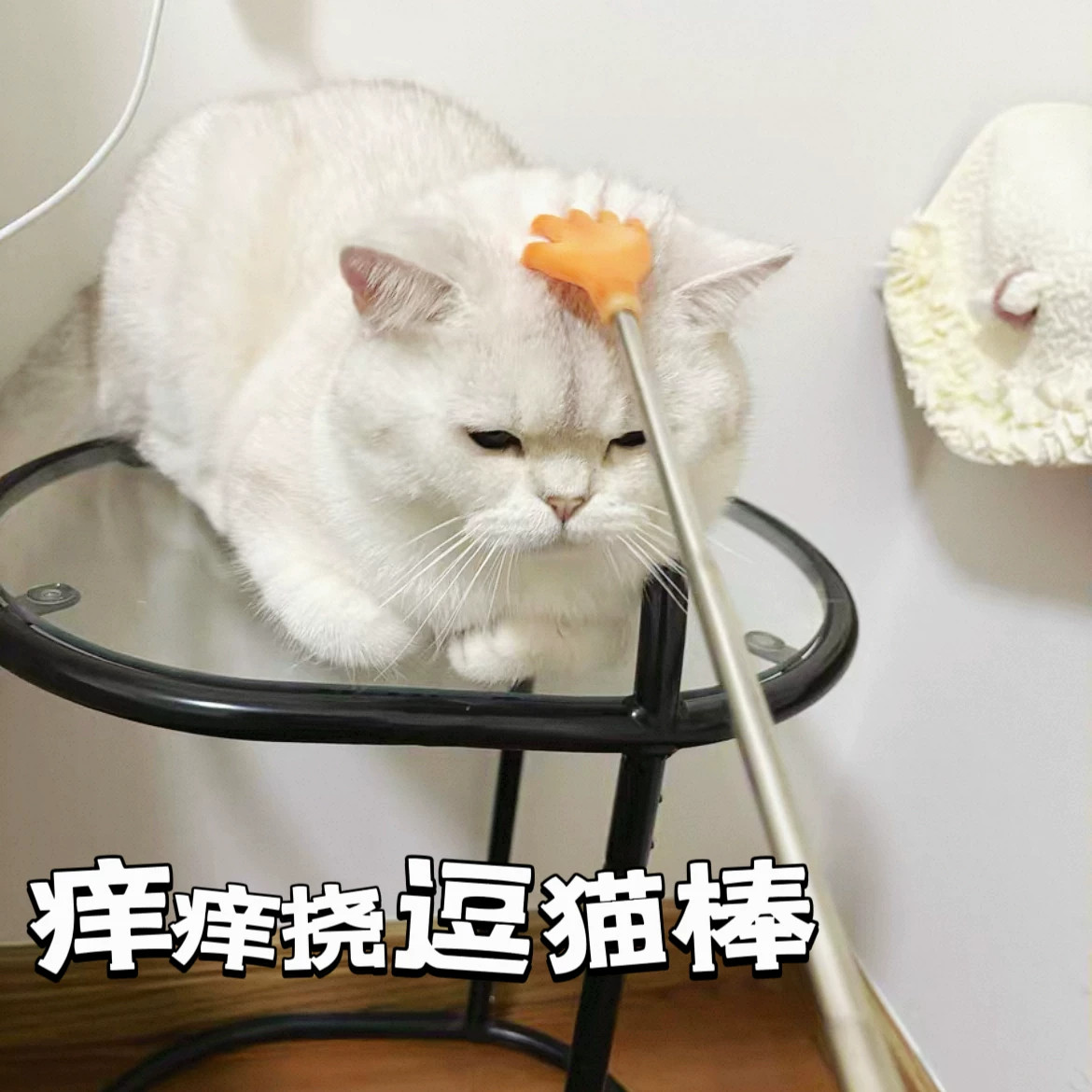 猫玩具逗猫棒防抓咬自嗨互动