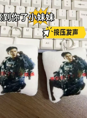 吴彦祖威龙毛绒发声游戏周边