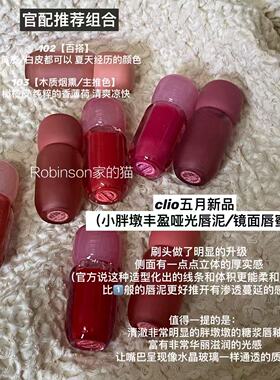 【清澈透亮】韩国clio珂莱欧小胖墩唇釉水光镜面丝绒雾面灰粉显白