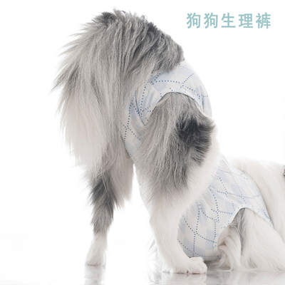 亲肤面料柔软透气中大型犬生理裤