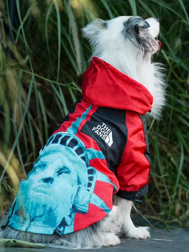 Ветрозащитная куртка, дорожный тонкий дождевик, осенняя