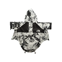 Снежная гора заряд