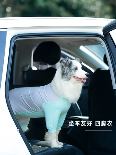 Его маленькая печь собачья ледяная шелк с четырьмя шесбками на открытом воздухе на открытом воздухе.