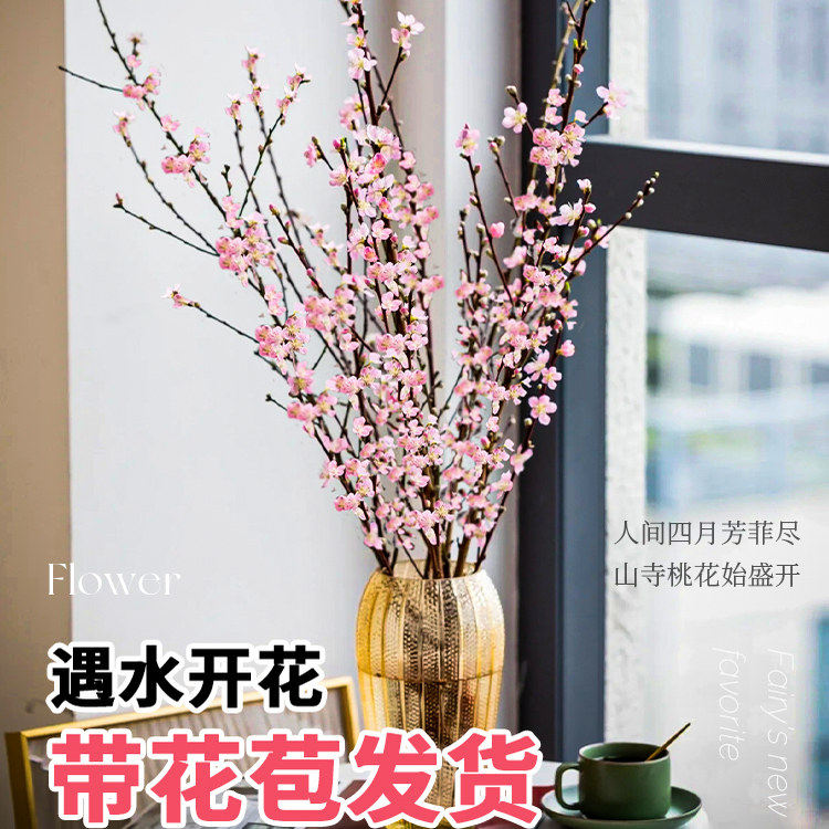 水培植物桃花枝鲜花雪柳干枝鲜切花水养盆栽室内珍珠李花卉好养