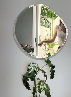 不规则壁挂装饰镜子白墙面异形镜ins家居镜不规则湖泊镜浴室镜