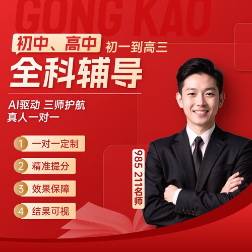 在线真人一对一个性化定制数学物理化学英语补课小学初中高中神器