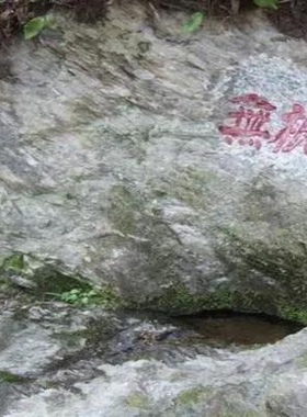 道家无根水端午水午时水井净化接水调墨用水调和朱砂液保真50ml