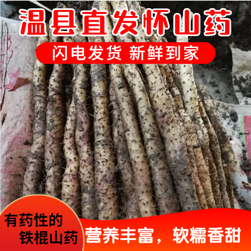 河南焦作温县土特产山药铁杆好吃