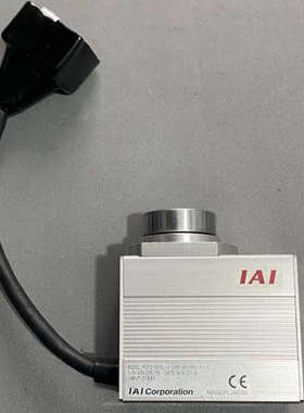 IAI旋转电缸 RCP2-RTBL-I-28P-30-360议价