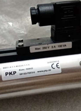 电磁阀PKP DS01.4.1.1  W3090.1.1议价