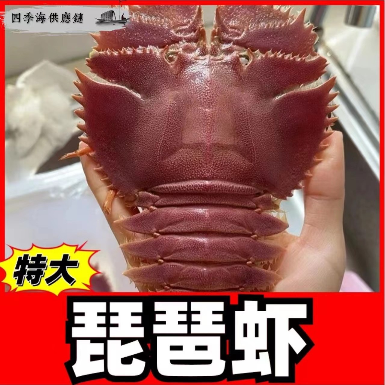 【集采】深海琵琶虾鲜活低温海捕海鲜生鲜鳌虾甜虾红魔虾犀牛