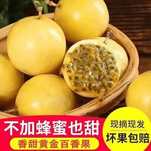【活】广西钦蜜9号黄金百香果9斤新鲜大果当季百香果整箱包邮