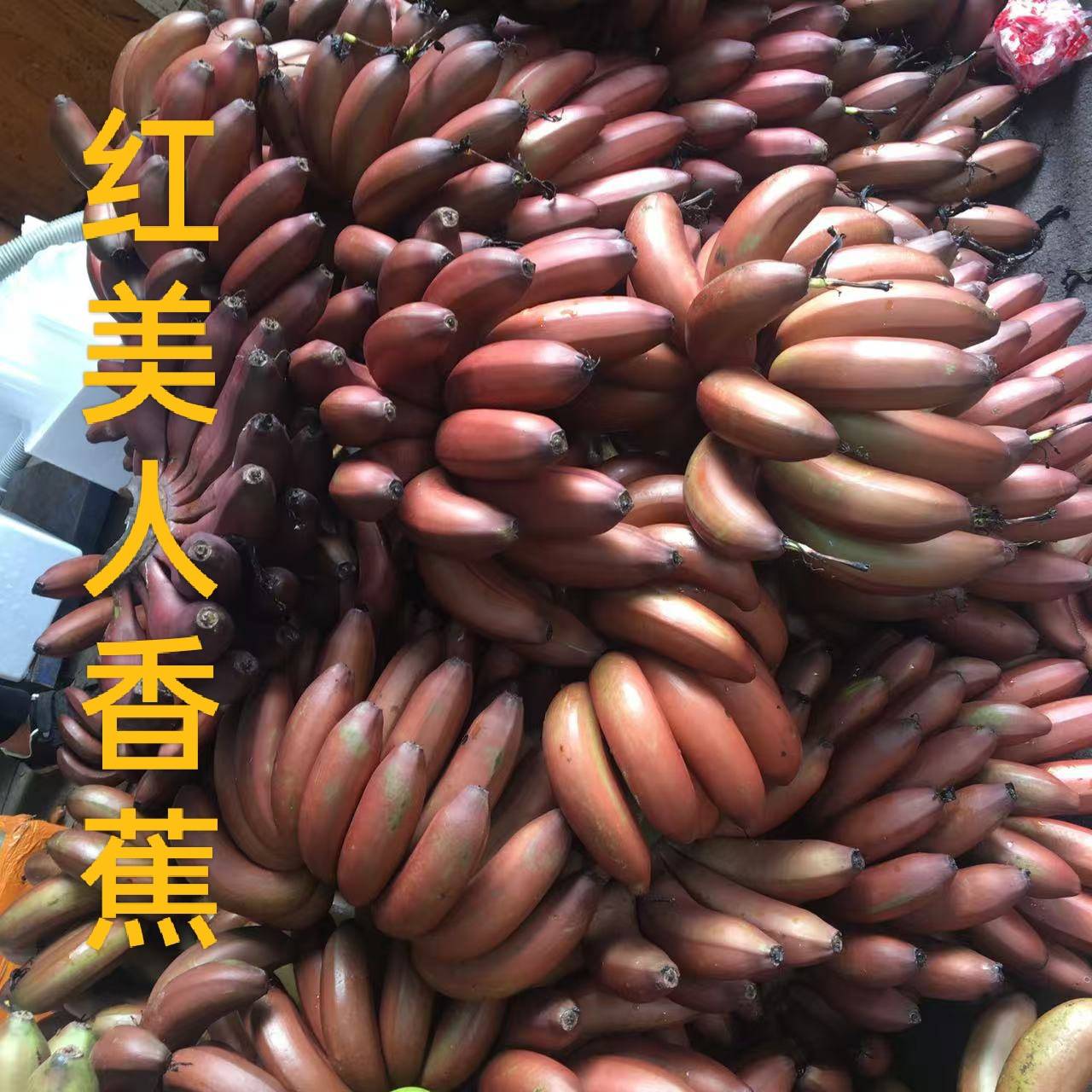 广西红皮香蕉红蕉美人蕉水果现采香蕉