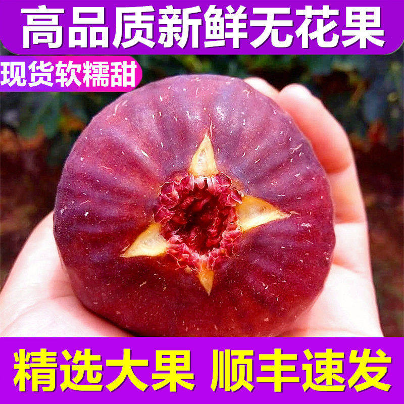 顺丰包邮现摘现发新鲜无花果紫红皮大果当季时令孕妇水果1/3/4斤