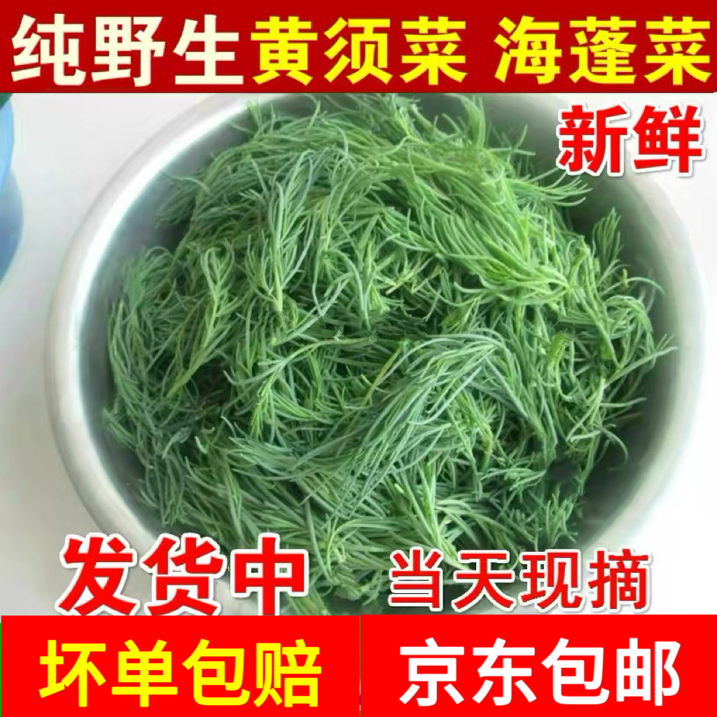 黄须菜新鲜野菜盐地碱蓬菜海蓬菜海英黄西皇席菜黄茎菜4斤装包邮
