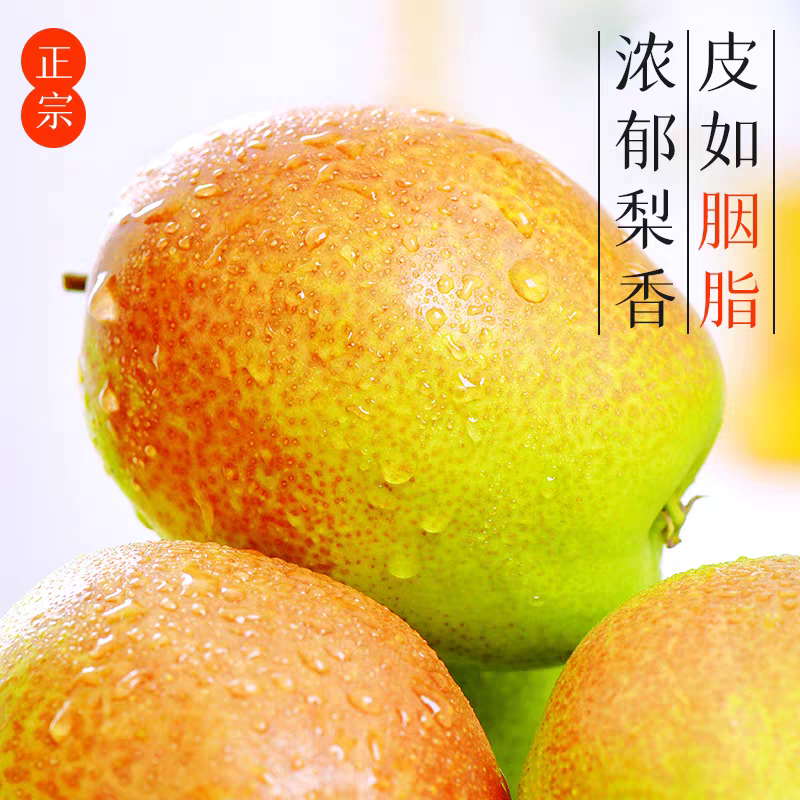 梨子新鲜水果当季整箱十斤批发红香酥梨山西小梨子大梨子脆甜多汁