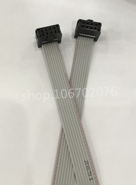 灰色排线 灰排8P 下载线 2.54mm间距2*4 30cm 带头子 8Pin线