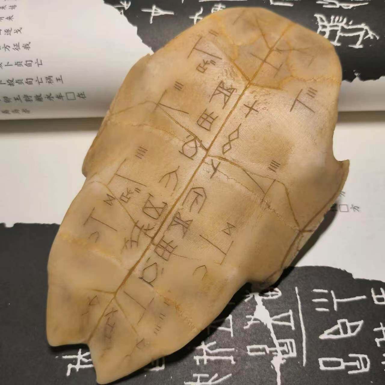天然龟骨龟甲甲骨文手工刻写复古文教用品兴趣小众饰品