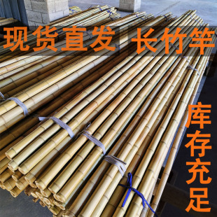 毛竹粗大竹竿定制装饰竹房竹长廊庭院搭架栅栏篱笆围栏隔断楠竹子