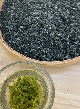 四川峨眉山2025新茶雪竹毛尖毛峰炒青高山绿茶茶叶500g