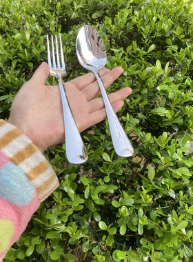 亏本处理不退不换牛排叉勺子性价比高泡面水果叉吃饭勺主餐勺