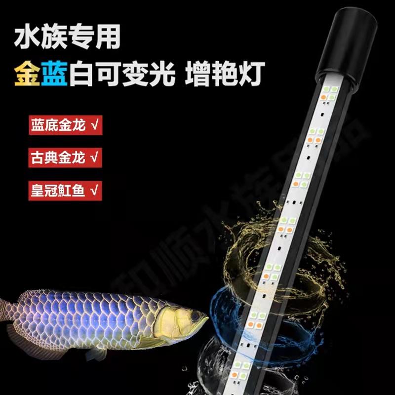 马印神灯蓝白金龙鱼专用灯led