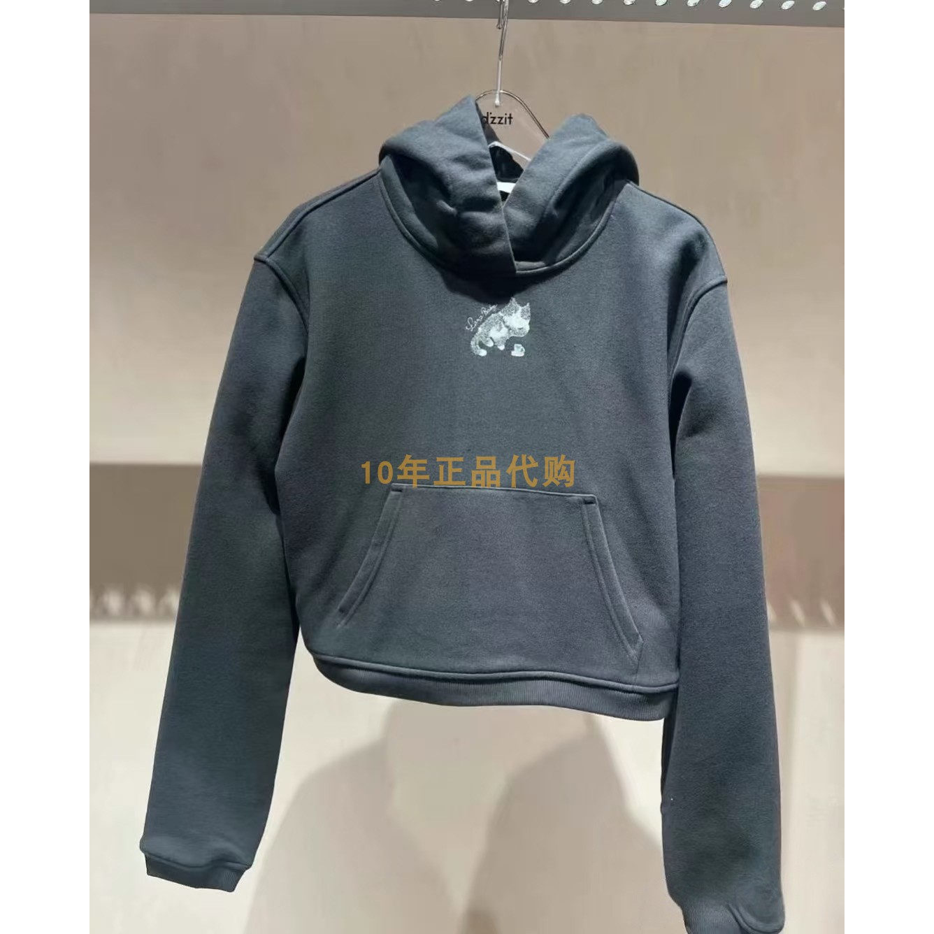 3J1J110折dzzitD素国内正品代购2025春女士套头卫衣吊牌1090