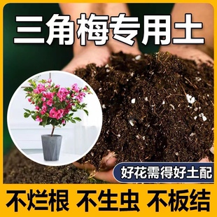 浮山王子新款介质型家用营养土养花通用型三角梅花卉保水种植土