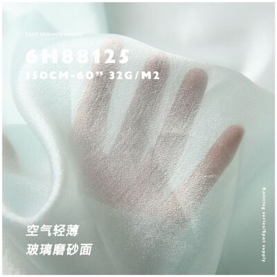 玻璃磨砂面 空气轻薄透视 春夏时装面料6H88125