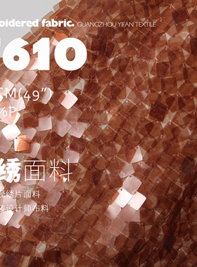 橙暮 高档立体透视绣片面料裙装时装舞台布料T610