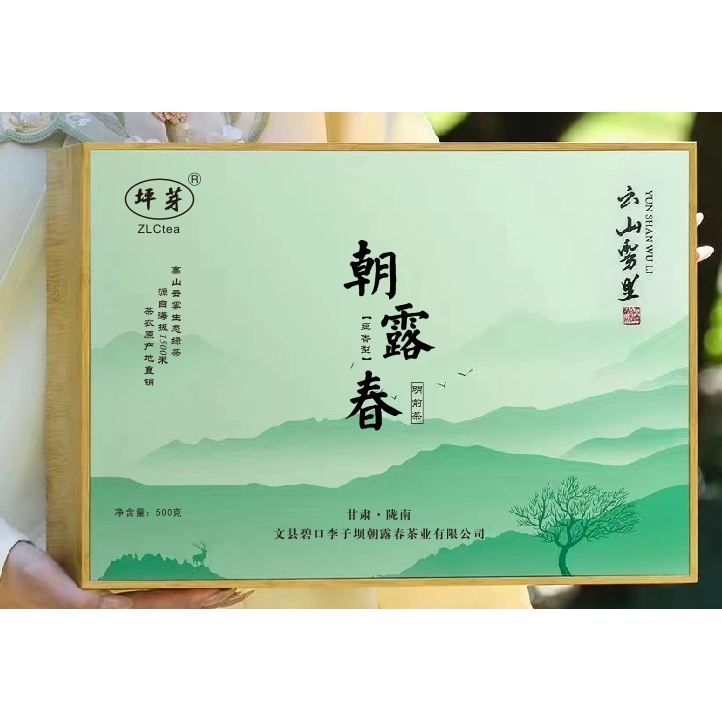 甘肃陇南新茶明前茶叶碧口李子坝明前豆香2026新茶文县碧口茶