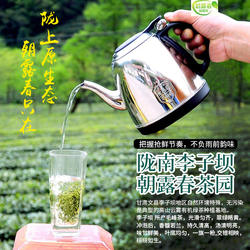 陇南毛尖茶叶 甘肃春尖茶叶 碧口朝露春毛峰绿茶茶农直销500g包邮