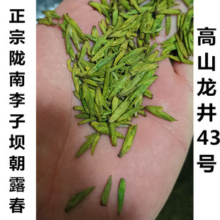 新茶2025明前陇南龙井43号正宗陇南雀舌碧口李子坝朝露春茶叶直销