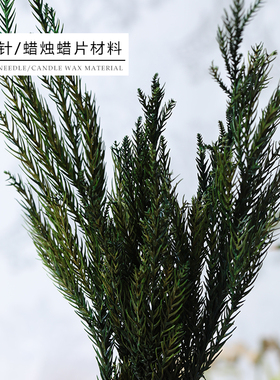 飞鱼手作 绿色松针干枝 圣诞树绿松树枝干 香薰蜡烛蜡片装饰耗材