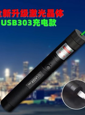 303满天星单点绿红紫色USB充电手电红色教鞭售楼指挥培训笔激光