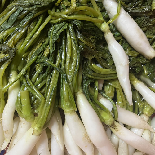 广西灵山特产萝卜菜尾萝卜苗腌菜咸酸烫水菜下饭菜