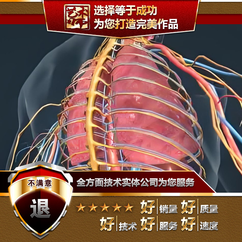 blender医学医疗疾病防控演示解说视频动画UE虚幻ARVR代做UNITY3D