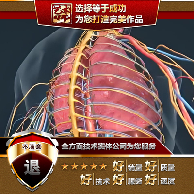 blender医学医疗疾病防控演示解说视频动画UE虚幻ARVR代做UNITY3D