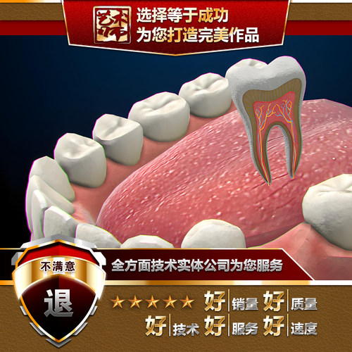 UE虚幻U3D医学医疗口腔骨骼血液心脏器械MAX健康科普动画VRAR代做