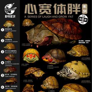 动物星云星球心宽第八弹蛋龟麝香剃刀窄桥红面萨尔文玛塔模型手办