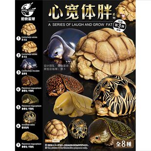 动物星云星球心宽体胖辐射陆龟苏卡达亚达猪鼻乌龟模型手办树脂龟