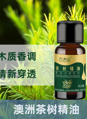 六月田茶树精油单方澳洲进口原料清新穿透木质香调香薰面部精油