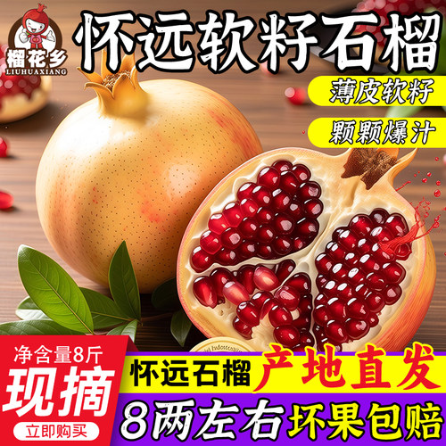 榴花乡怀远石榴软籽石榴