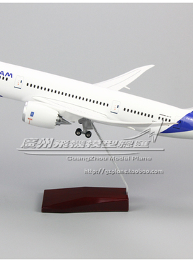 拉塔姆航空LATAM B787感应LED灯起落架ABS拼装仿真客机飞机模43cm