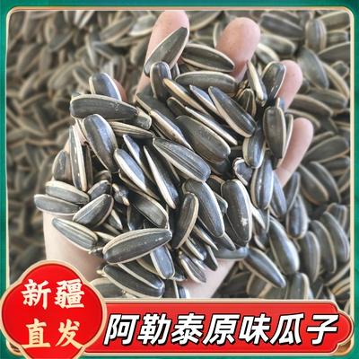 新疆包邮新鲜原味大颗粒葵花籽
